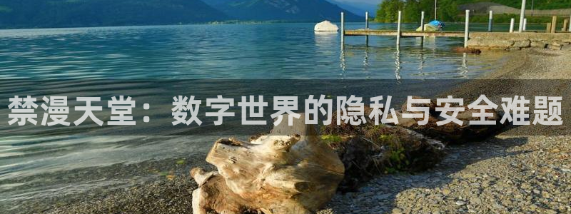 kakaopage韩漫官网：禁漫天堂：数字世界的隐私与安全难题