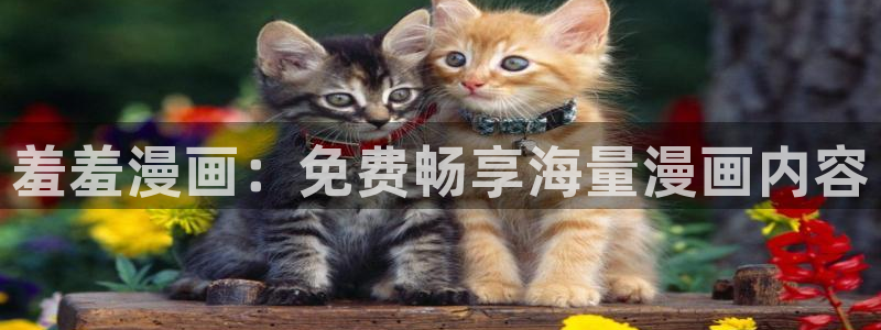 新新漫画：羞羞漫画：免费畅享海量漫画内容