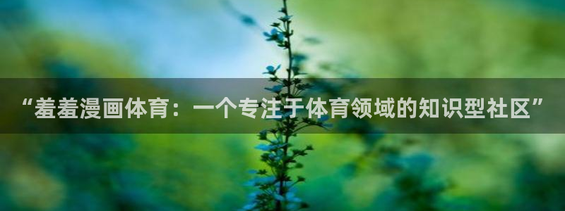 新新漫画正版网：“羞羞漫画体育：一个专注于体育领域的知识型社区”