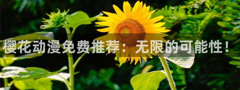 colamanage漫画官网：樱花动漫免费推荐：无限的可能性！