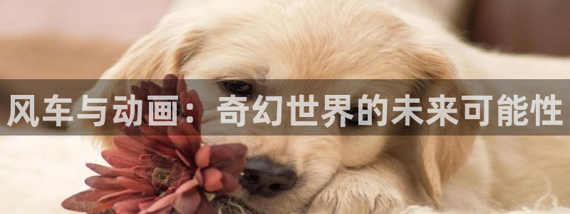 新新漫画官网网址